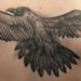 Tattoos - Black and Gray Crow Healed - 62894